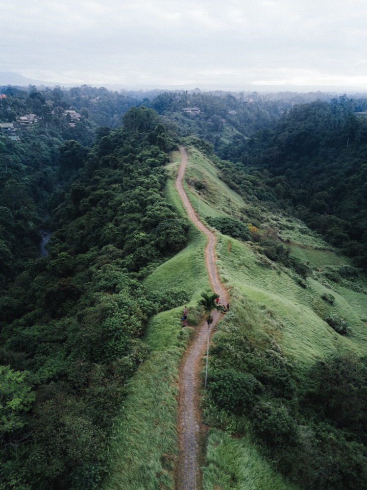 Path through green hills